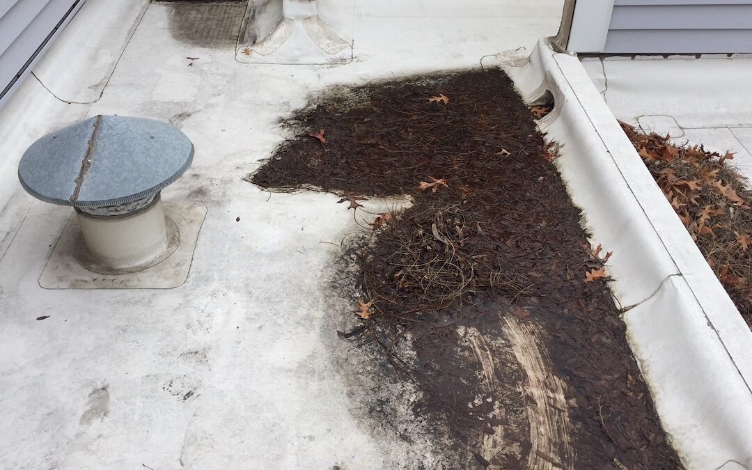 Clogged Roof Drains Inspection and Maintenance