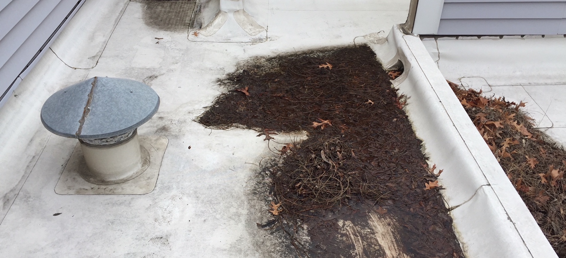 Commercial Flat Roof with Clogged Roof Drain