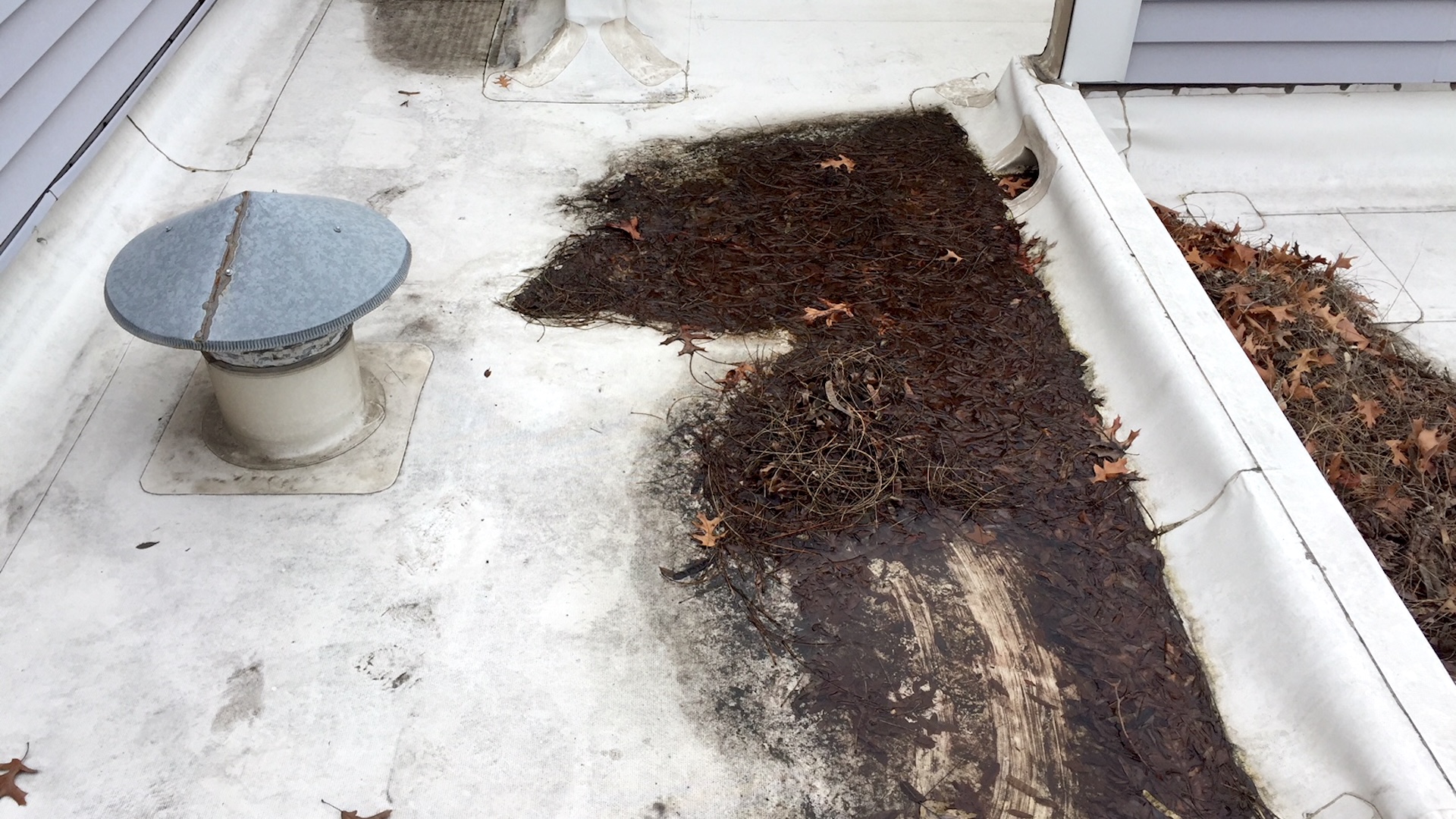 Commercial Flat Roof with Clogged Roof Drain