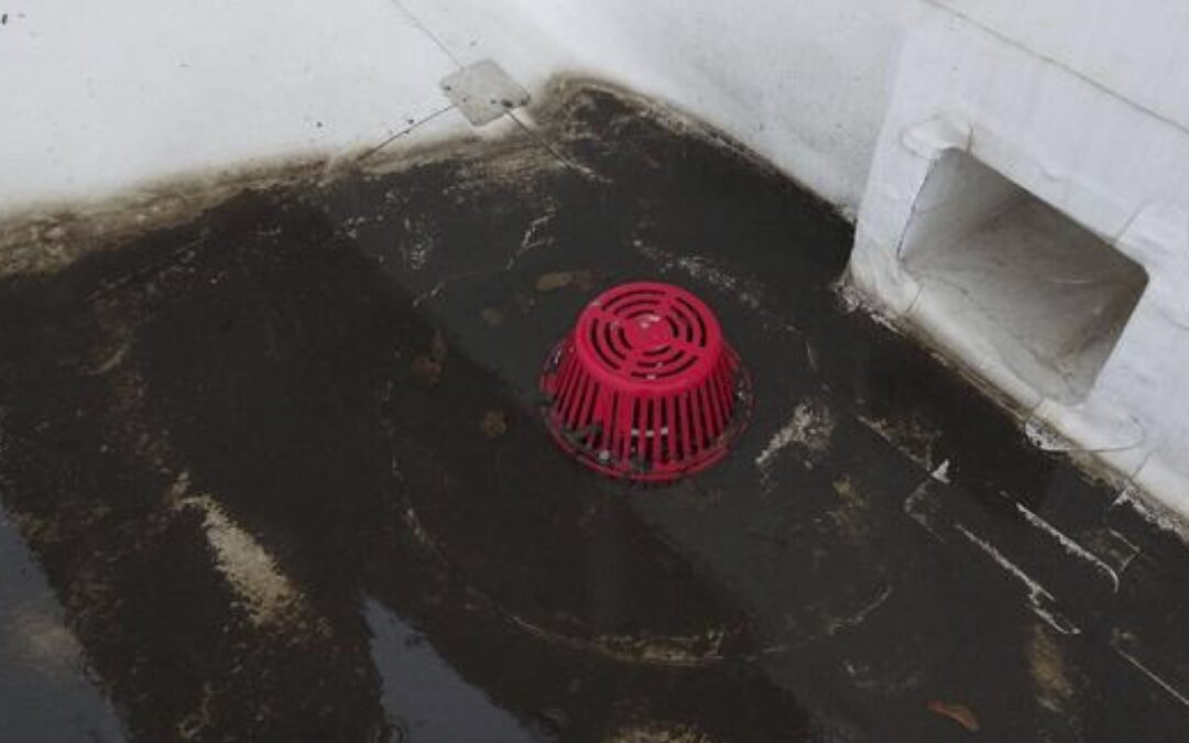 Dirtiest Commercial Roof Drains 2025