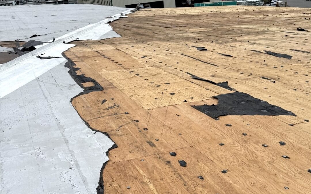 March 2026 Spokane Windstorm Damage Response Shines