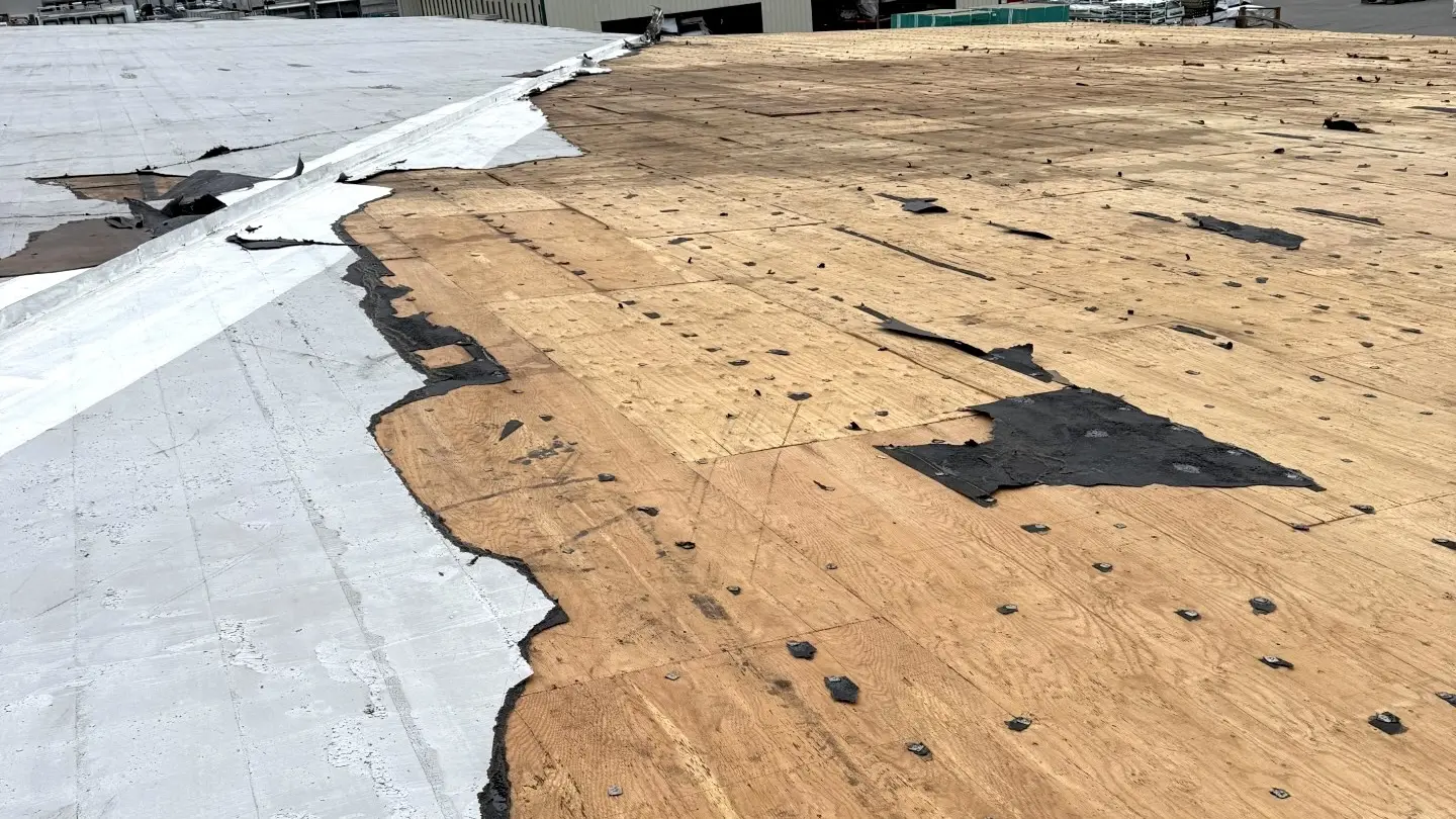 Commercial Flat Roof Windstorm Damage With Bare Roof Deck Exposed Over Half The Surface